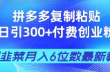 拼多多复制粘贴日引300+付费创业粉，割韭菜月入6位数最新教程！