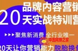内容营销实操特训营：20天，让你的营销能力脱胎换骨（价值3999）