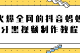 火爆全网的抖音“蚂蚁牙黑”视频制作教程，附软件【视频教程】