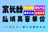 家长粉：私域高客单价，一个可以干一辈子的暴利项目，初中毕业就能完全上手