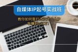 （12115期）自媒体IP-起号实战班：教你如何靠打造设计个人IP，年赚到100万！