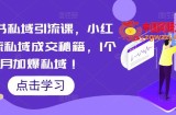 小红书私域引流课，小红书引流私域成交秘籍，1个月加爆私域！