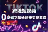 跨境短视频TIKTOK 0基础到精通网赚变现套课，跨境短视频独立站带货变现技巧