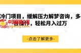 超冷门项目，缓解压力解梦咨询，多平台操作，轻松月入过万【揭秘】