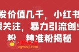 首发价值几千，小红书无限关注，暴力引流创业粉，精准粉揭秘