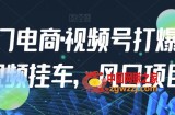 九门电商·视频号打爆短视频挂车，风口项目