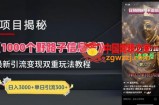 一千个野路子信息差最新玩法教程-变现+引流的玩法具体拆解【揭秘】