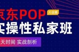 京东POP实操性私家班——大促篇，​三天时间，实战剖析-​原价4980