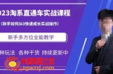 2023淘系直通车保姆式运营讲解，新手如何从0快速成长实战操作，新手多方位全能教学
