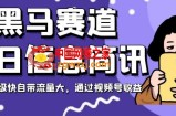 黑马赛道每日信息简讯，起号超级快自带流量大，通过视频号收益【揭秘】