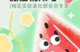 梅花实验室2024年AB技术视频号AB合成破解版