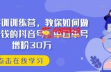 抖音实训训练营，教你如何做一个赚钱的抖音号，单日单号增粉30万