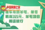 懂车帝薅羊毛，单号最高165元，羊毛项目，搬运就行