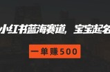 小红书的瀚海跑道，宝宝取名，一单赚500