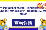 一个很low的小众项目，但利润非常巨大，闷声发大财的首选副业，操作的好月入过万【揭秘】