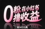 0粉在小红书撸收益，日入几张