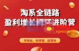 淘系全链路盈利增长闭环进阶营，融合全店动销，学得会、听得懂、能落地！
