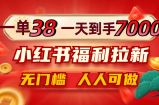 （12741期）一单38，一天到手7000+，小红书福利拉新，0门槛人人可做