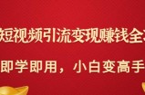 快手短视频引流变现赚钱全攻略：即学即用，小白变高手（价值980元）