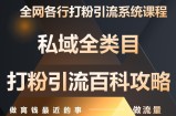 月入9万：全网唯一私域打粉引流神课，零基础手把手带你引流变现
