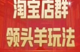 九栢米-淘宝店群领头羊玩法，教你整个淘宝店群领头羊玩法以及精细化/终极蓝海/尾销等内容