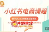 小红书电商新手入门到精通实操课，从入门到精通做爆款笔记，开店运营