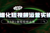 精细化短视频运营实操课，从0到1做短视频运营：算法篇+定位篇+内容篇