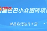 阿里巴巴小众搬砖项目，单品利润达几十倍