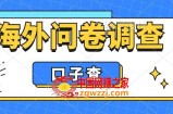外面收费5000+海外问卷调查口子查项目，认真做单机一天200+【揭秘】