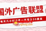 外面收费1980的最新国外LEAD广告联盟搬砖项目，单号一天至少30美金【详细玩法教程】