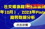 阿甘·社交媒体趋势选品案例（更新23年10月），2023年Pinterest趋势数据分析