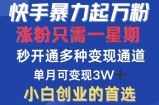 （12651期）快手暴力起万粉，涨粉只需一星期，多种变现模式，直接秒开万合，小白创&amp;#8230;