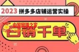 2023拼多多运营实操，每天30分钟日销1000＋，爆款选品技巧大全（10节课）