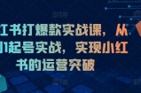小红书打爆款实战课，从0到1起号实战，实现小红书的运营突破