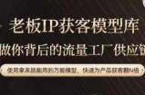 老板IP流量供应链，动作越少，账号越好，使用拿来就能用的万能模型，快速为产品获客翻N倍