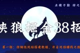 侠狼掘金38招第1招保姆级网站搭建教程，开启网络赚钱之路【视频课程】