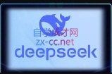 DeepSeekAI技术深度赋能