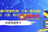 知识IP流量井喷营第2期，打造一套倍速吸粉、引流、转化的流量系统
