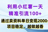 利用小红书一天精准引流100+，通过卖项目单日变现2k+，项目稳定，越做越香【揭秘】
