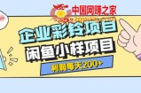 最新企业彩铃项目+闲鱼小样项目：利润每天200+轻轻松松，纯视频拆解玩法