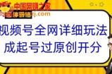 视频号全网最详细玩法，起号过原创开分成，单号日入300+【揭秘】