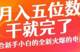 月入五位数，干就完了， 适合新手小白的全新火爆的电商项目