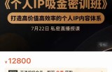 个人IP吸金密训班，打造高价值高效率的个人IP内容体系（价值12800元）