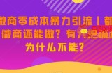 新·微商零成本暴力引流丨都2023了微商还能做？有大把流量，为什么不能？