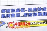 拼多多虚拟-引流技术与私域变现_拼多多教程：开一家月入2w店铺