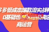 拼多多低成本爆款流实战私教课，0基础也可以轻松搞定电商运营