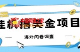 最新挂机撸美金礼品卡项目，可批量操作，单机器200+【入坑思路+详细教程】