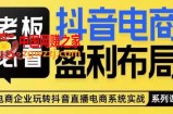 老板必看-抖音电商盈利布局，公开揭秘抖音电商全域布局打法