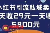 在小红书引流私域卖壁纸每张29元单日最高卖出200张(0-1搭建教程)【揭秘】