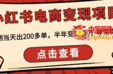 顽石·小红‬书电商变现项目，实测当天出200多单，半年变现百万，非常稳定